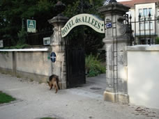 lotte dijon des allees